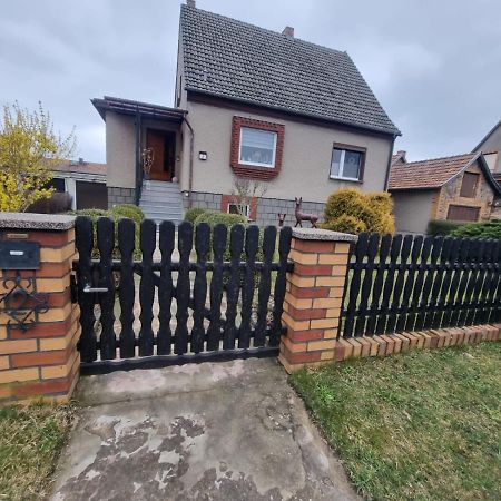 Ferienhaus Pusteblume Lubben Luaran gambar